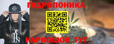 Альфа ПВП Краснознаменск