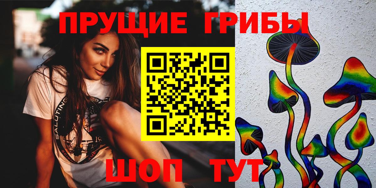 Псилоцибиновые грибы мицелий  Вход с VPN  Галлюциногенные грибы GOLDEN TEACHER  Кашира 