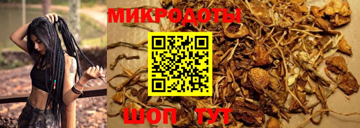 Псилоцибиновые грибы Cubensis Кашира